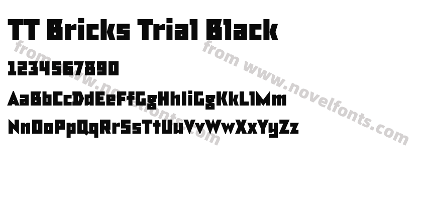 TT Bricks Trial BlackPreview