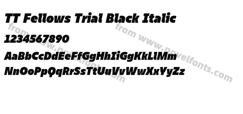 TT Fellows Trial Black ItalicPreview