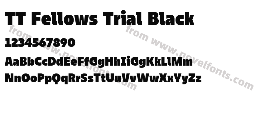 TT Fellows Trial BlackPreview