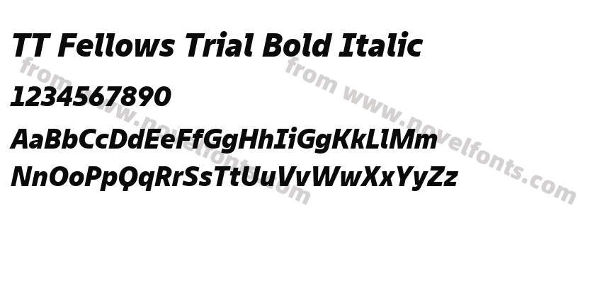 TT Fellows Trial Bold ItalicPreview