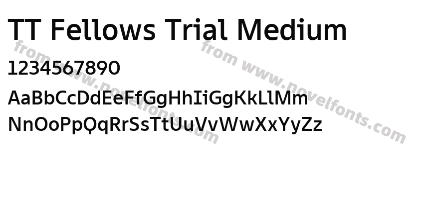 TT Fellows Trial MediumPreview