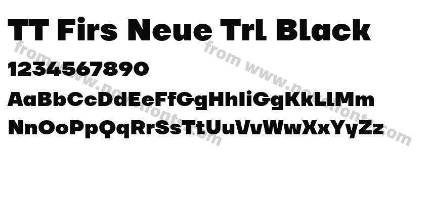 TT Firs Neue Trl BlackPreview