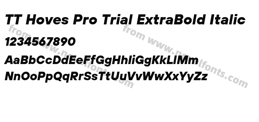 TT Hoves Pro Trial ExtraBold ItalicPreview