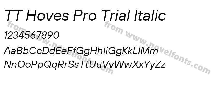 TT Hoves Pro Trial ItalicPreview