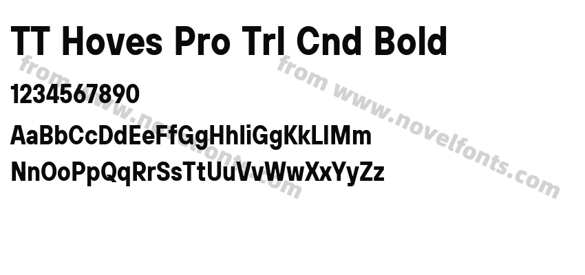 TT Hoves Pro Trl Cnd BoldPreview