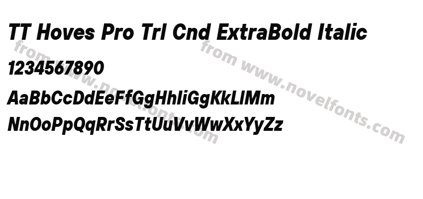 TT Hoves Pro Trl Cnd ExtraBold ItalicPreview