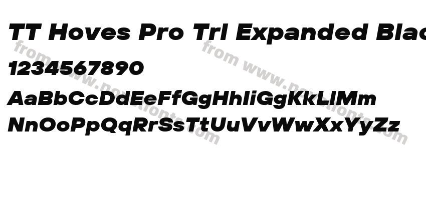 TT Hoves Pro Trl Expanded Black ItalicPreview