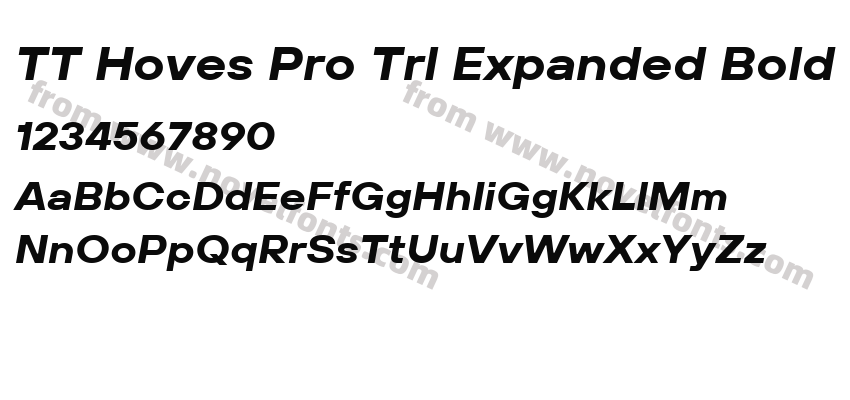 TT Hoves Pro Trl Expanded Bold ItalicPreview