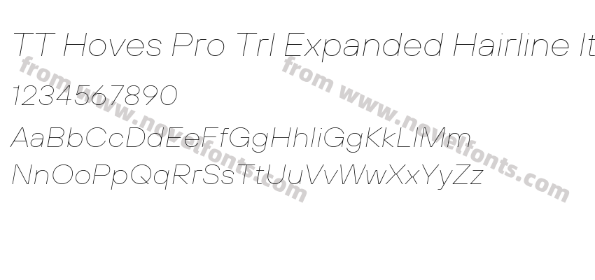 TT Hoves Pro Trl Expanded Hairline ItalicPreview