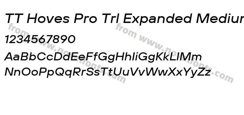 TT Hoves Pro Trl Expanded Medium ItalicPreview