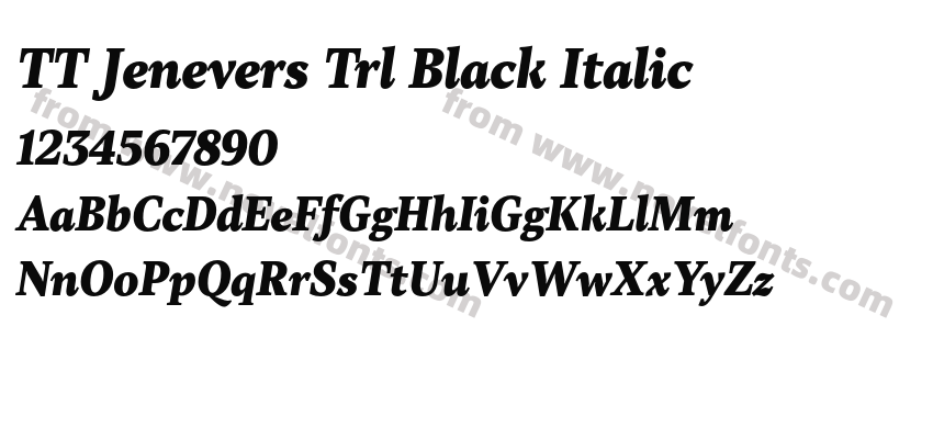 TT Jenevers Trl Black ItalicPreview