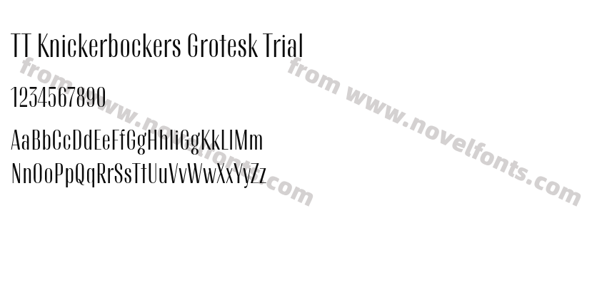 TT Knickerbockers Grotesk TrialPreview