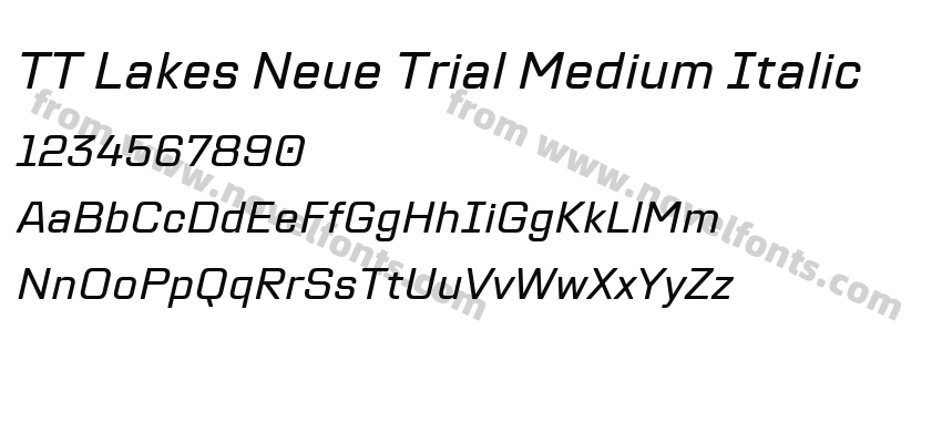 TT Lakes Neue Trial Medium ItalicPreview