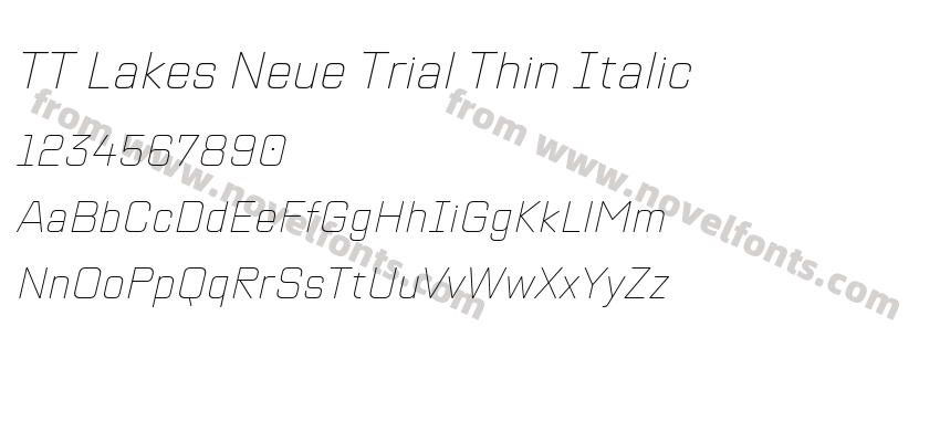 TT Lakes Neue Trial Thin ItalicPreview