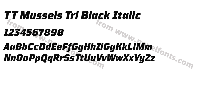 TT Mussels Trl Black ItalicPreview