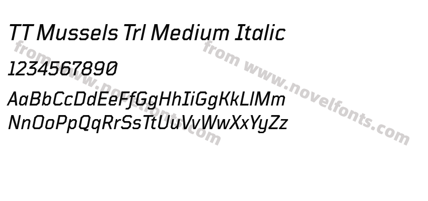 TT Mussels Trl Medium ItalicPreview