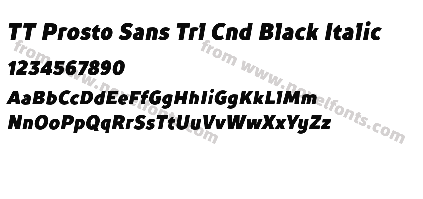 TT Prosto Sans Trl Cnd Black ItalicPreview