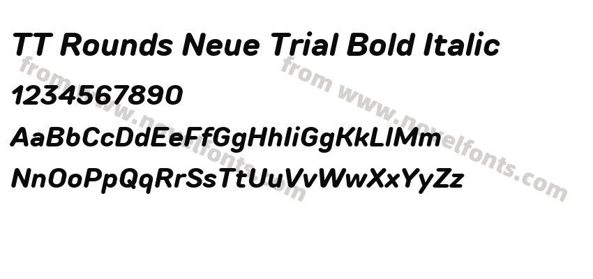 TT Rounds Neue Trial Bold ItalicPreview