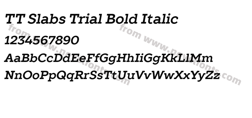 TT Slabs Trial Bold ItalicPreview