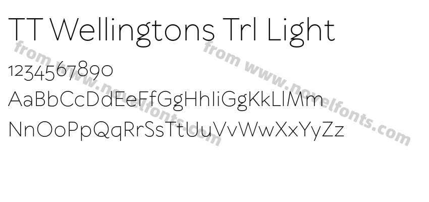 TT Wellingtons Trl LightPreview