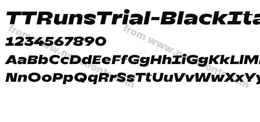 TTRunsTrial-BlackItalicPreview