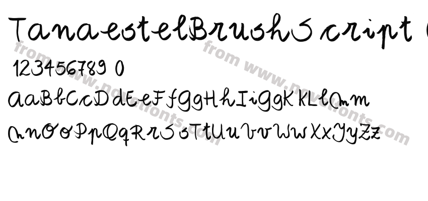 TanaestelBrushScript01-RgPreview