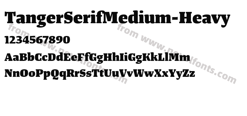 TangerSerifMedium-HeavyPreview