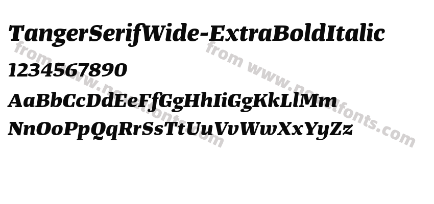 TangerSerifWide-ExtraBoldItalicPreview