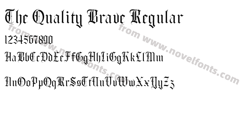 The Quality Brave RegularPreview