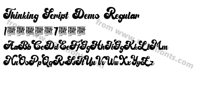 Thinking Script Demo RegularPreview