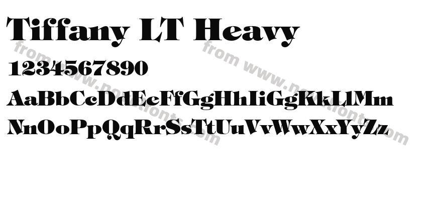 Tiffany LT HeavyPreview