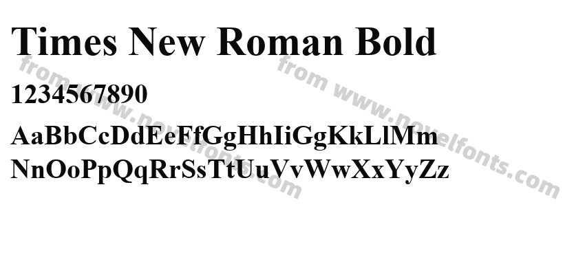 Times New Roman BoldPreview