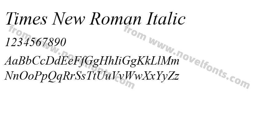 Times New Roman ItalicPreview