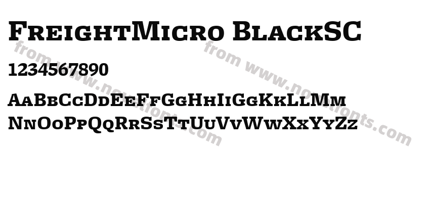 FreightMicro BlackSCPreview