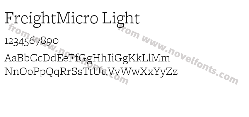 FreightMicro LightPreview