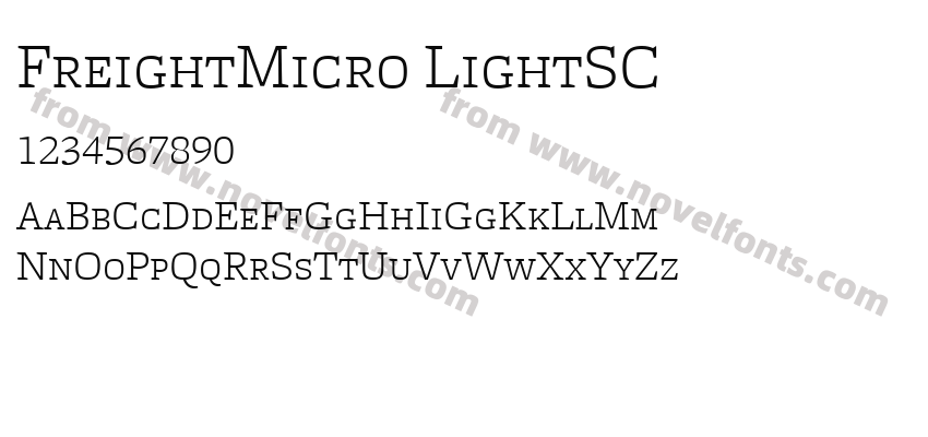 FreightMicro LightSCPreview