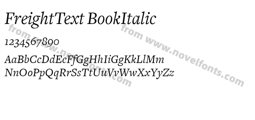 FreightText BookItalicPreview