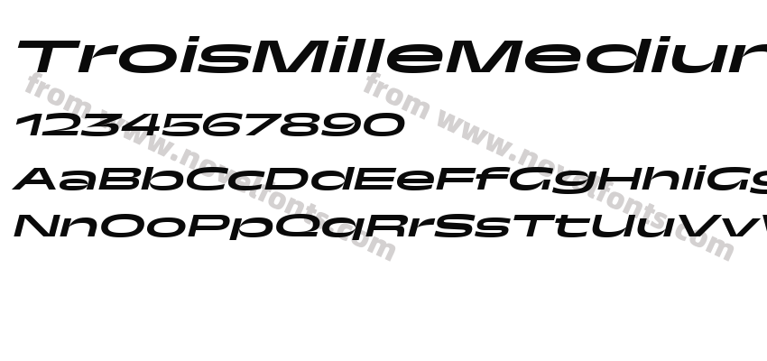 TroisMilleMediumItalic-35Preview