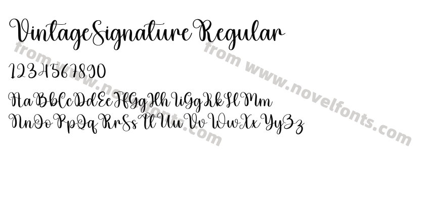 VintageSignatureRegularPreview