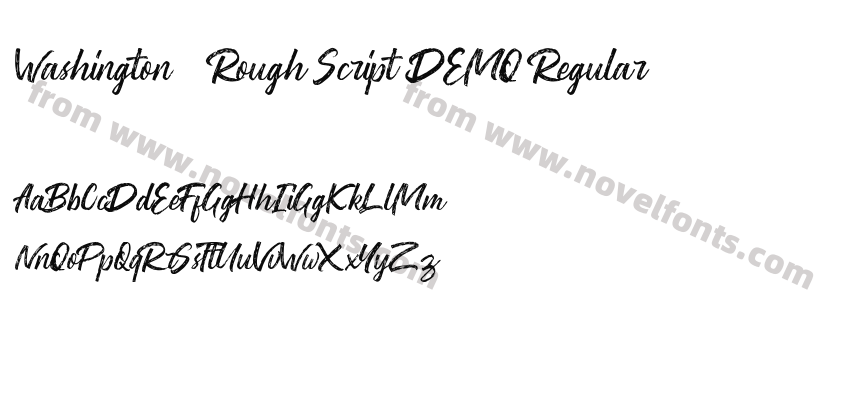 Washington ~ Rough Script DEMO RegularPreview