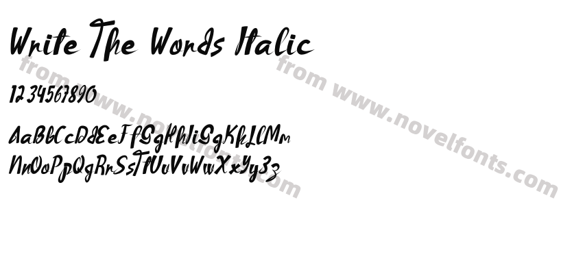 Write The Words ItalicPreview