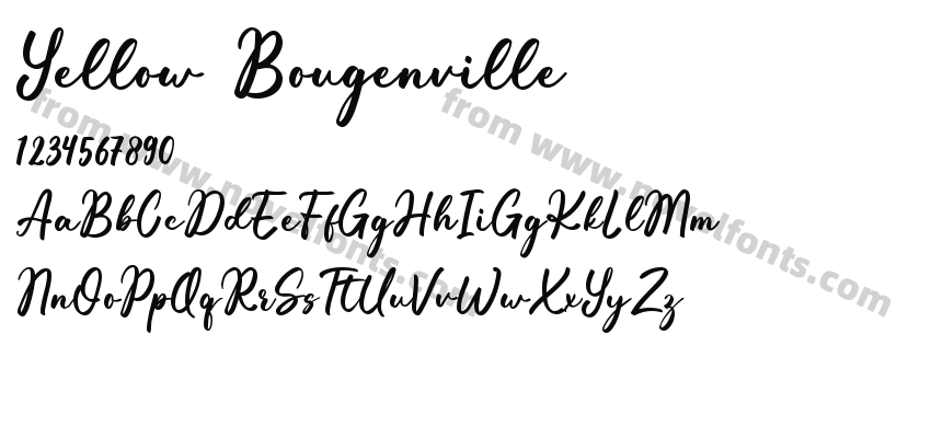 Yellow BougenvillePreview