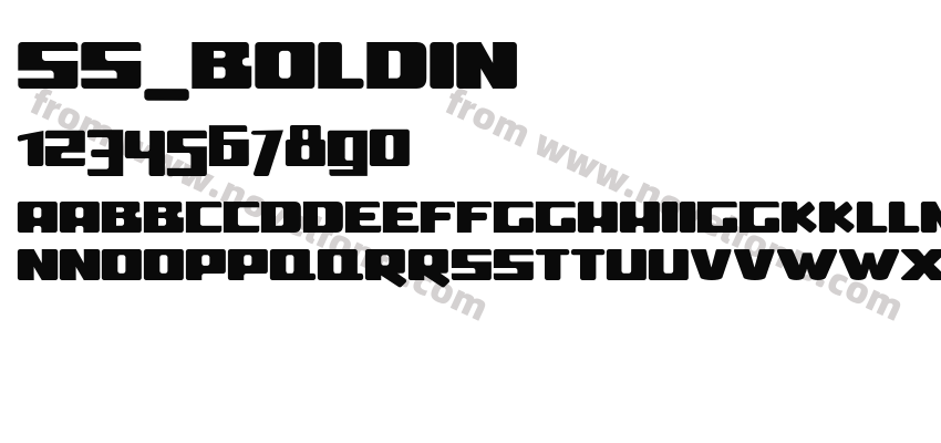 ss_boldinPreview