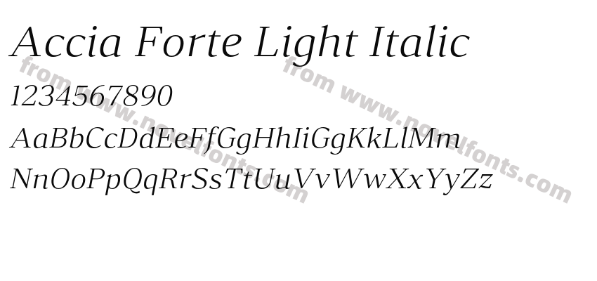 Accia Forte Light ItalicPreview