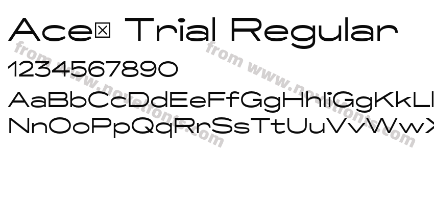 Ace_ Trial RegularPreview