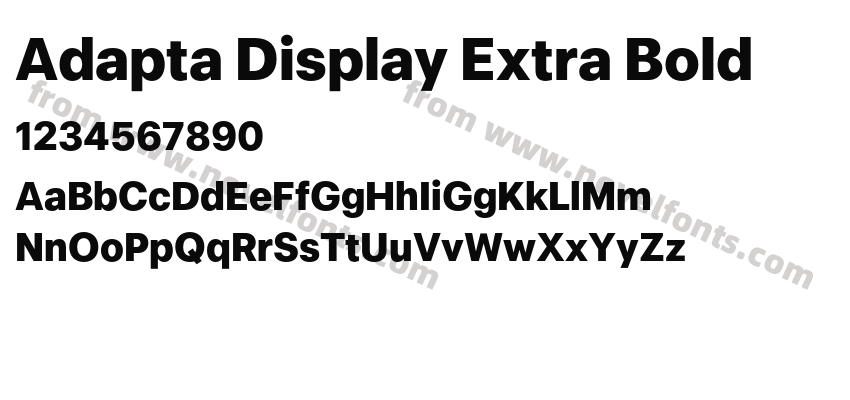 Adapta Display Extra BoldPreview