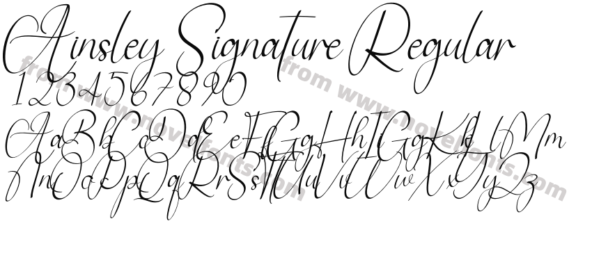 Ainsley Signature RegularPreview