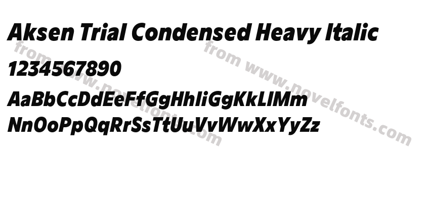 Aksen Trial Condensed Heavy ItalicPreview