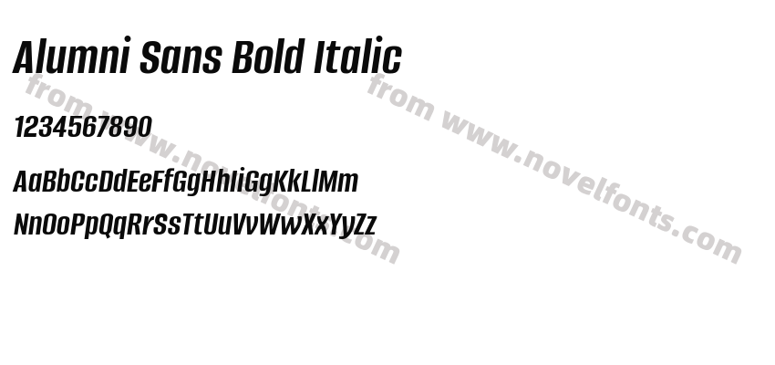 Alumni Sans Bold ItalicPreview