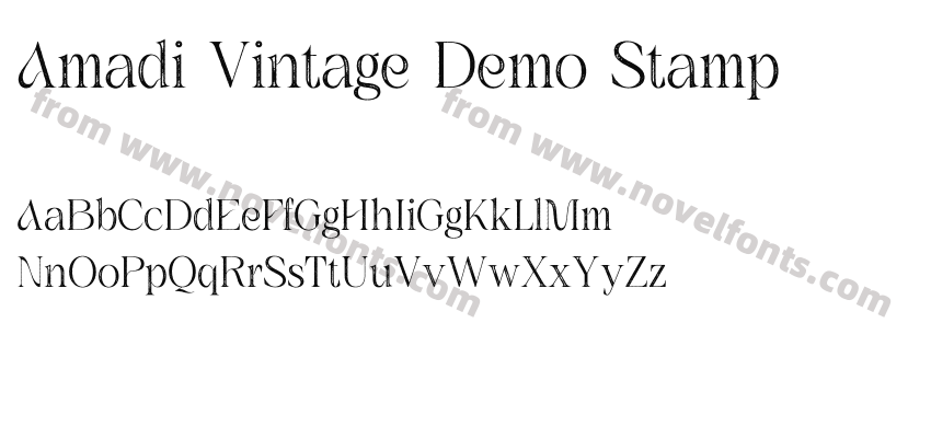 Amadi Vintage Demo StampPreview